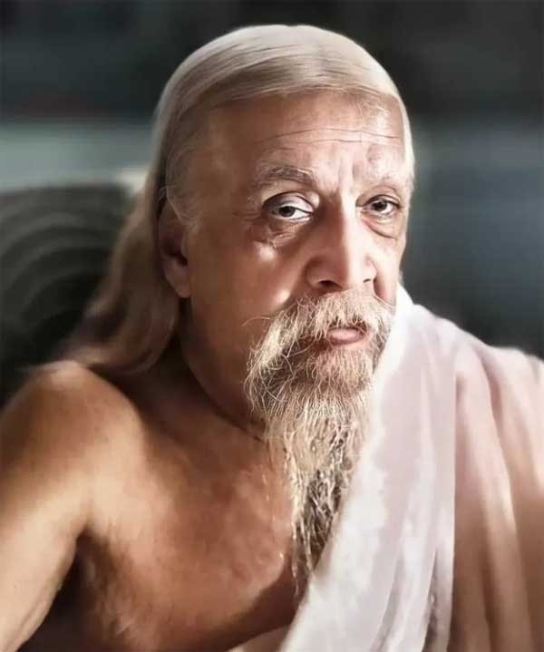 श्री अरविंदो भारत स्वतंत्रता आंदोलन
