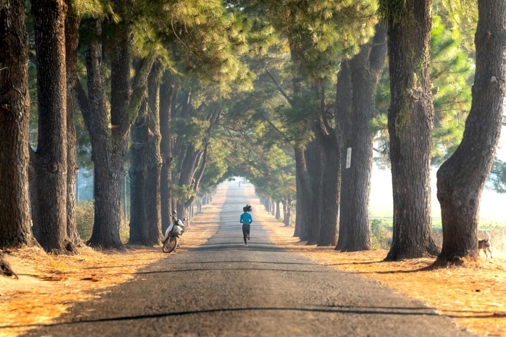 Person jogging on a tree-lined road in the morning, symbolizing discipline, motivation, and breaking free from laziness.